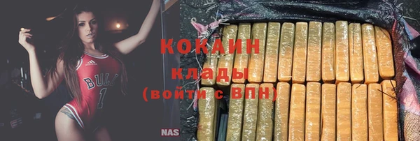 apvp Богородицк