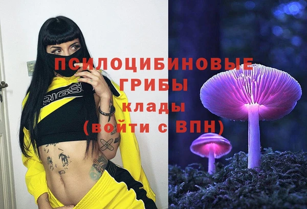 мдпв Богородск