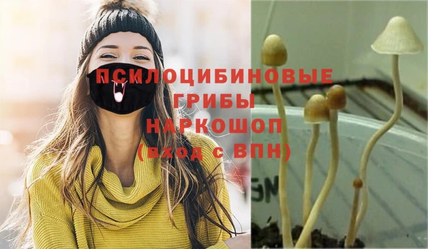 ALPHA PVP Богданович
