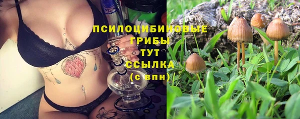 мдпв Богородск
