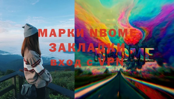 мдпв Богородск