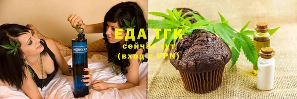 мдпв Богородск
