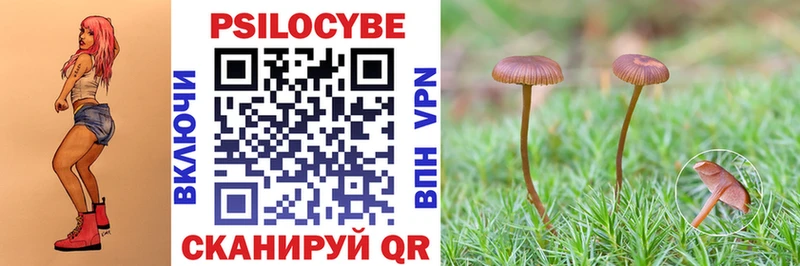 маркетплейс официальный сайт  Ирбит  Галлюциногенные грибы прущие грибы 